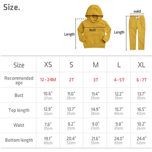 Hoodie and Jogger Toddler Boy Pants Set