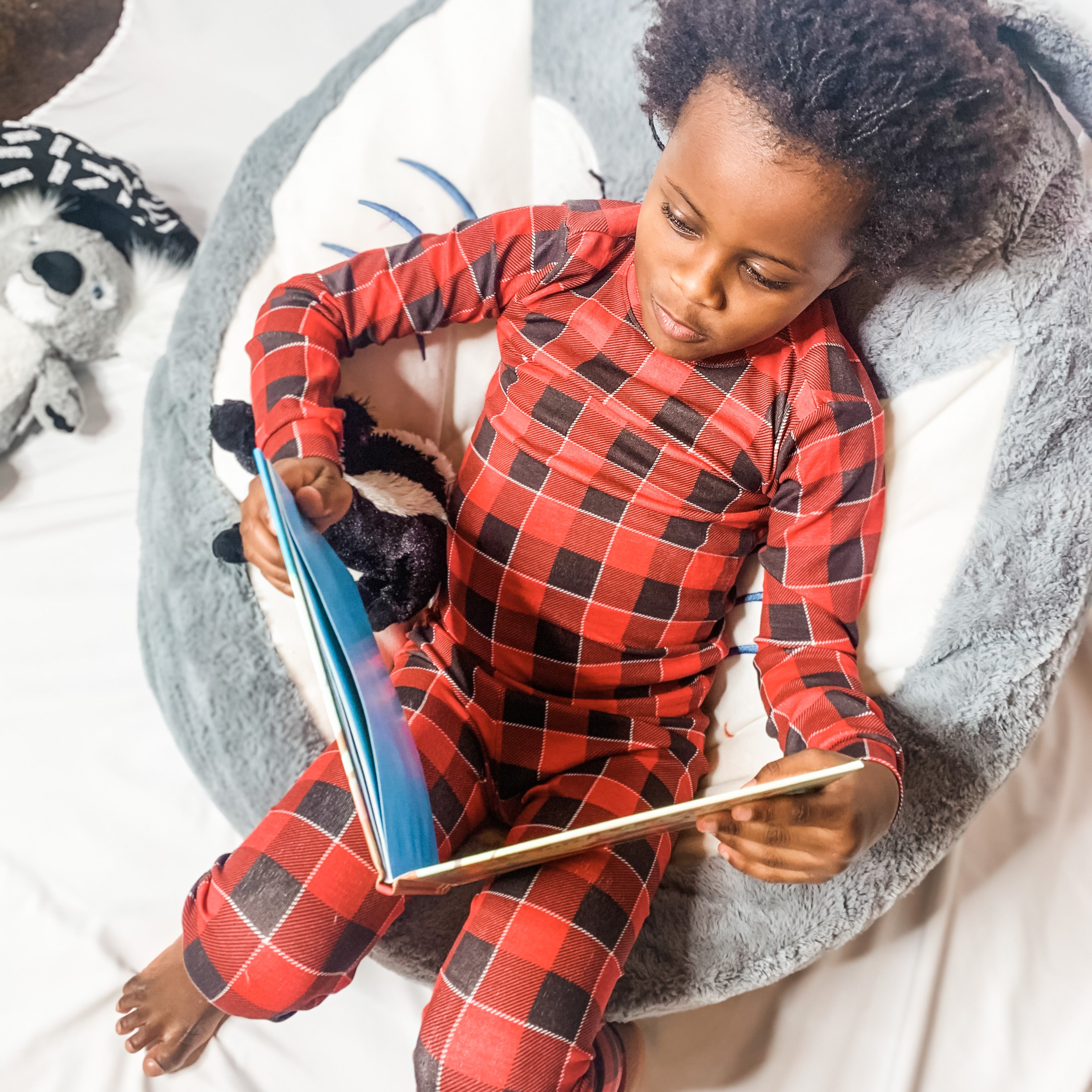 Gingham Toddler Boy Pajamas